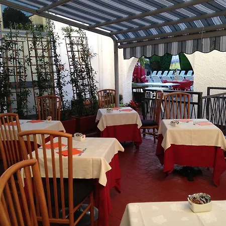 Elite 圣莫罗·托里尼塞